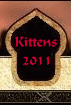 Kittens 2011