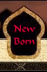 Newborn Persian kittens